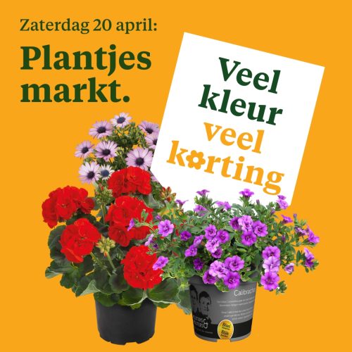 Zaterdag 20 april: Plantjesmarkt