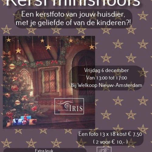 Kerst Minishoots bij Welkoop